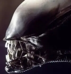 Alien - Skull And Bones Club