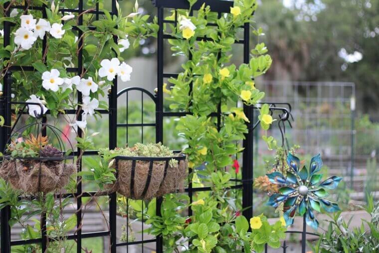 Garden Trellis