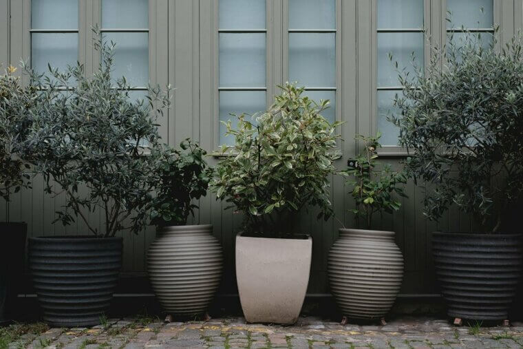 Planters and Pots