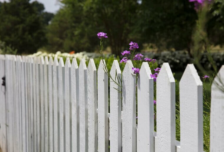 Garden Fencing