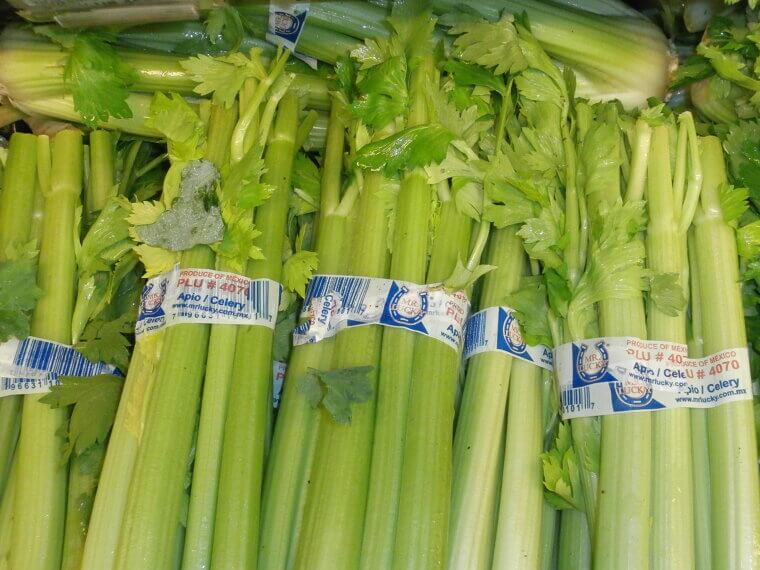 Celery