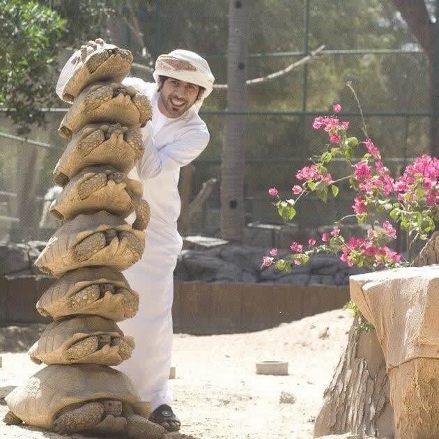Desert Tortoises