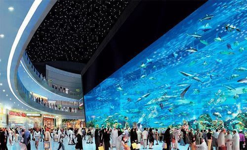 Largest Aquarium In The World