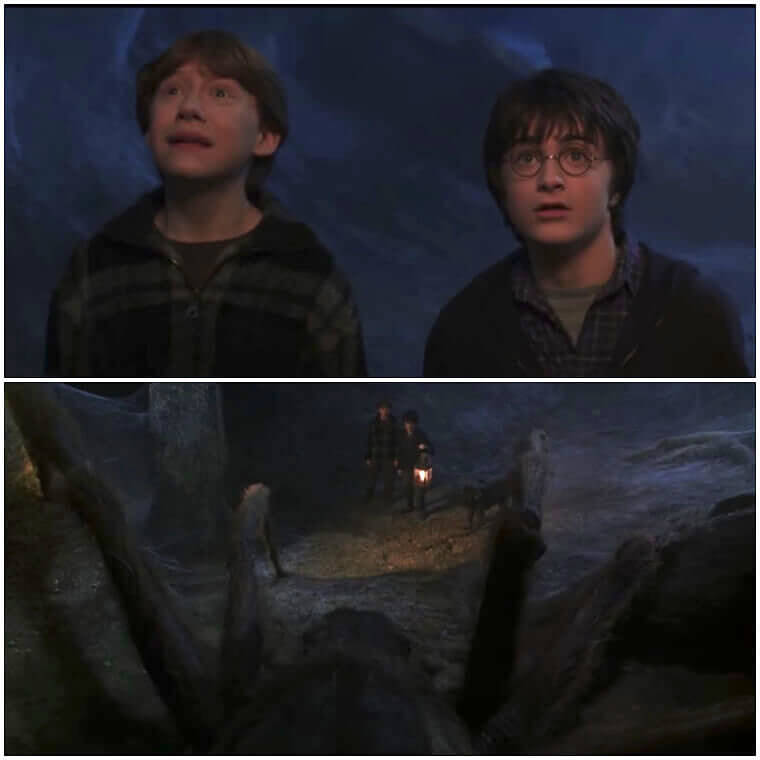 One Very Protective Dog in Harry Potter and the Chamber of Secrets