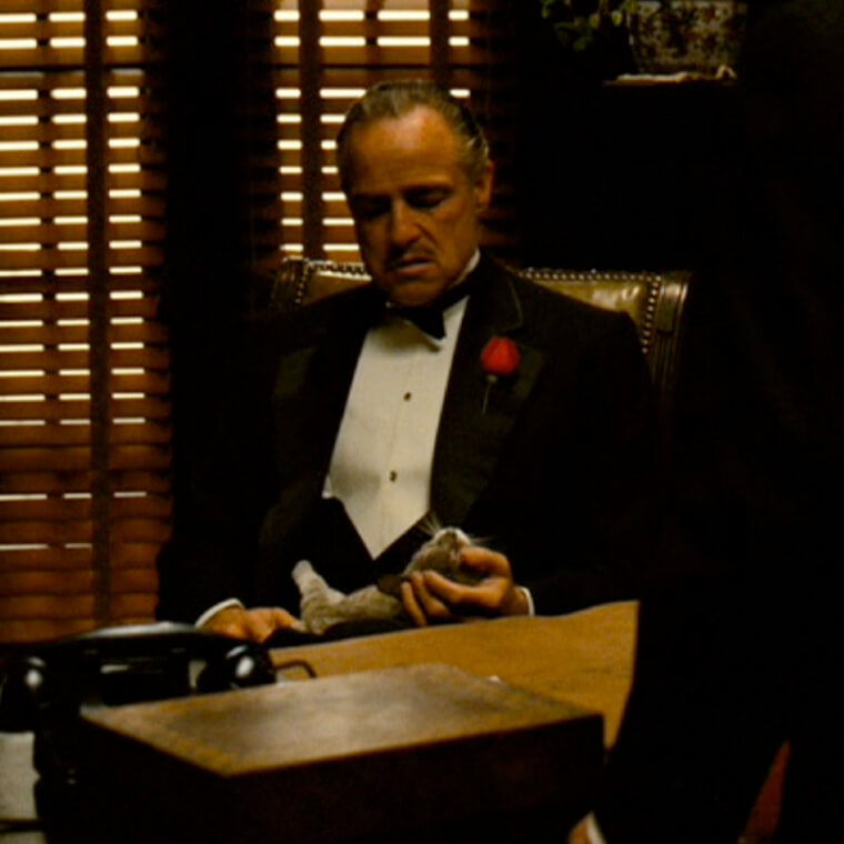 The Adorable Cat in The Godfather Wasn't Supposed to Be in It