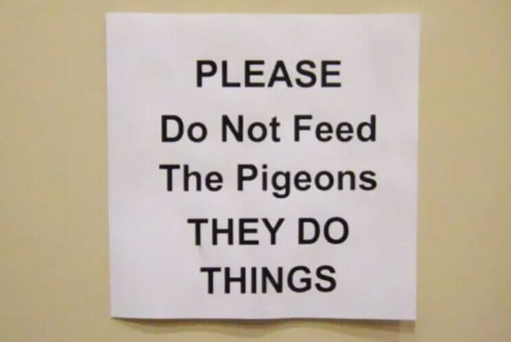 Don't Say We Didn't Warn You