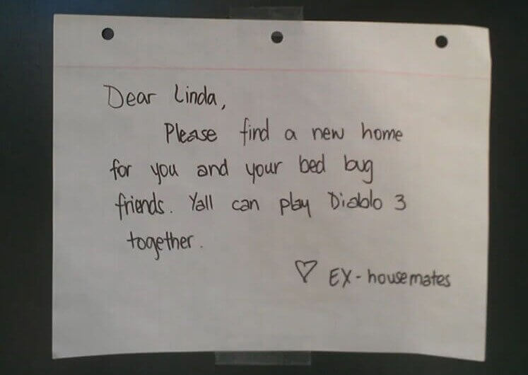 Leave the Bed Bugs Out of It