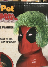 Memorable Holiday Gifts That Made the Whole Family Laugh