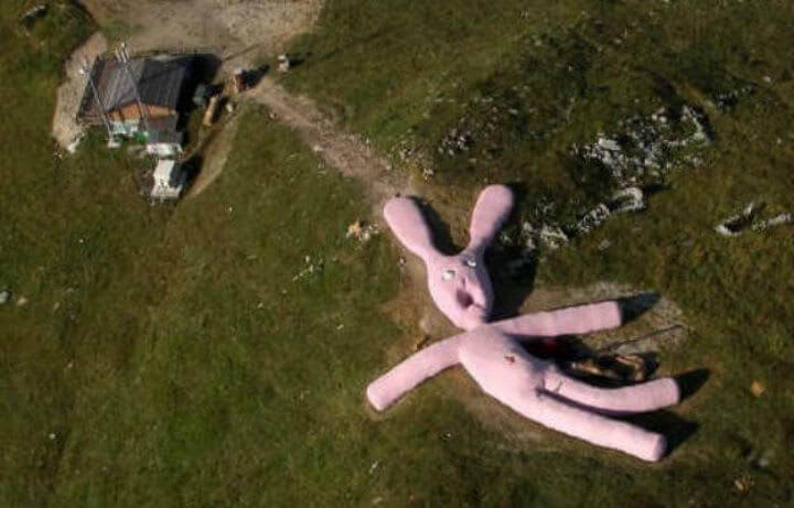 The Giant Pink Bunny