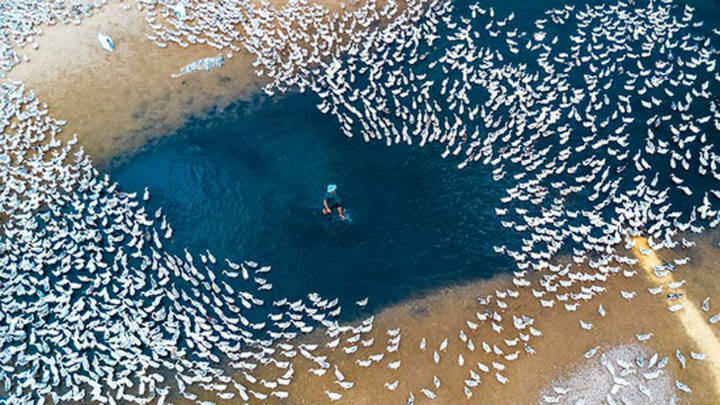 pictures captured by drones