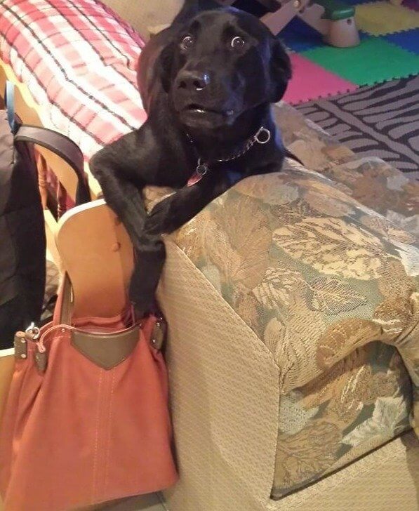 When You Know Where Mom Keeps the To-Go Treats