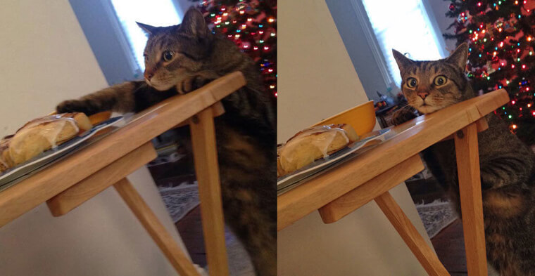 He's Going on Santa's Naughty List for Sure