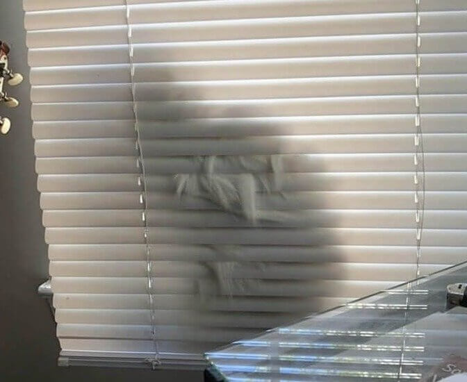 When It's Nail-Clipping Time