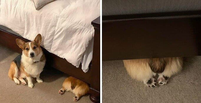 It's a Little Trick Called Hidden in Plain Sight