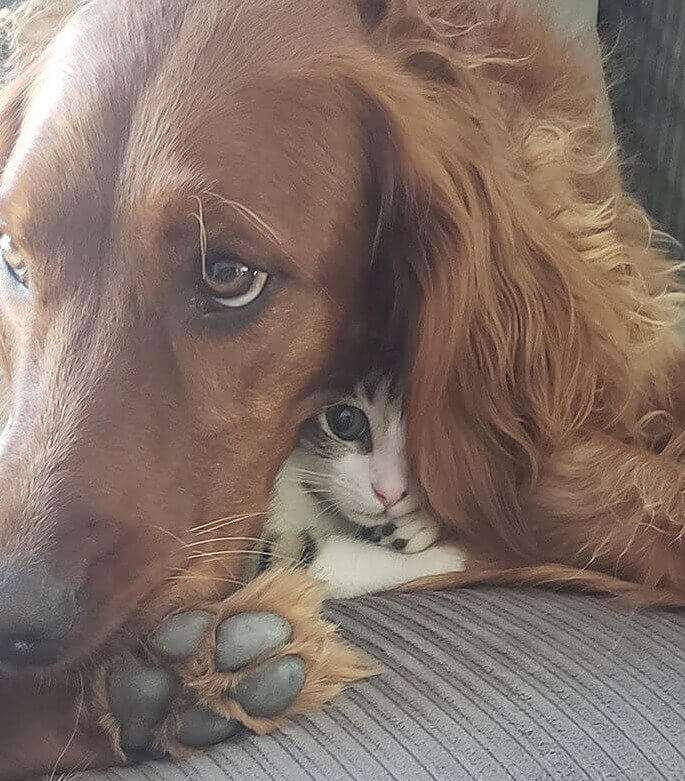 Real Friends Don't Snitch