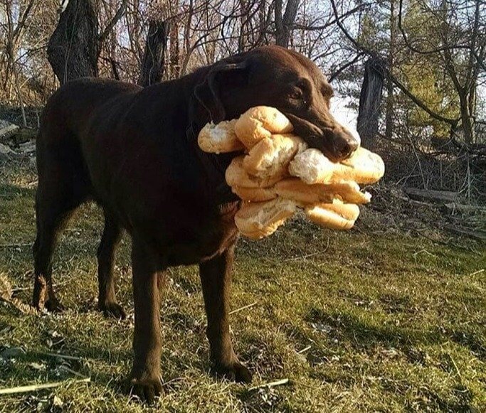 She Brought Enough for Everyone