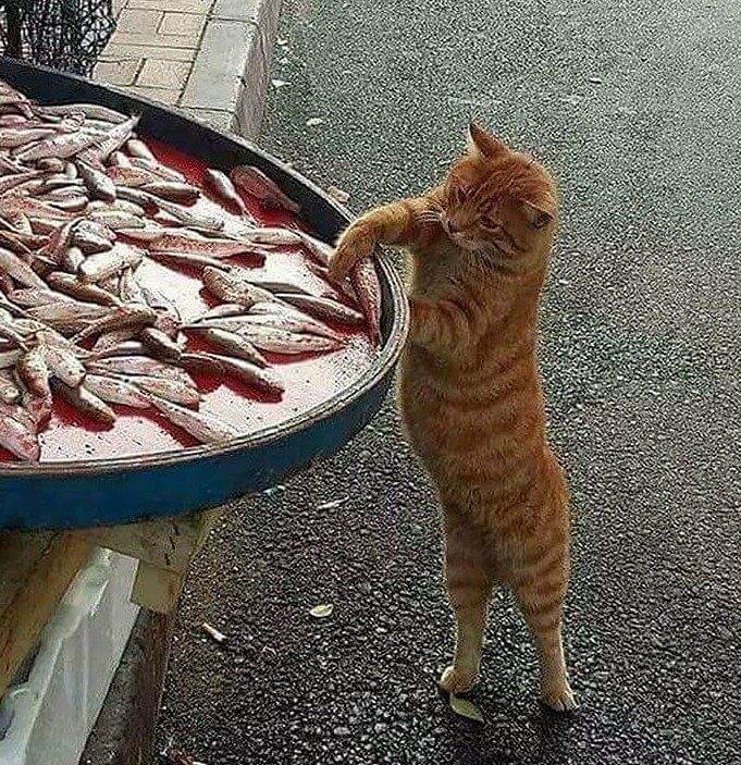 Work Smarter, Not Harder