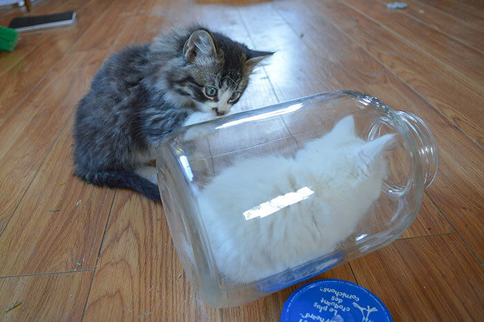 When Your Friend's Not a Morning Person but You Are