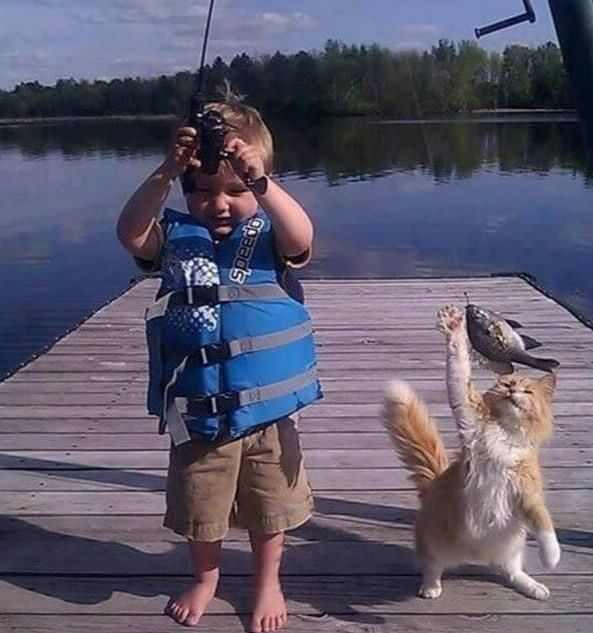 It's Called Survival of the Fittest, Kid