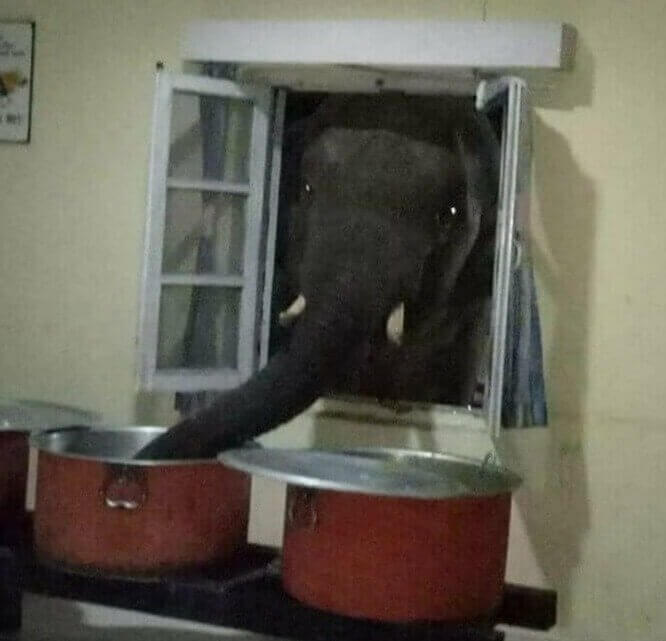 Welcome to McDonald's Drive Through, How May We Help You?