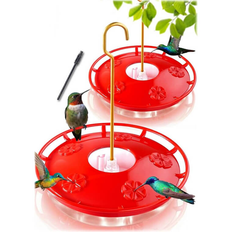 eWonLife Hummingbird Feeders - Attract Nature's Beauty! - Don’t Miss the 30% Discount!