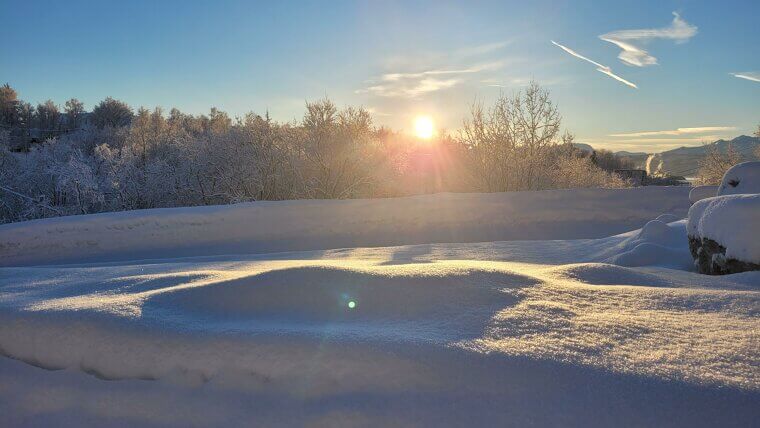 Vitamin D for the Win