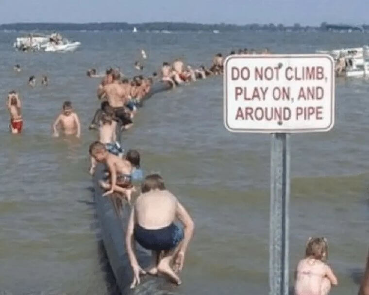 That'll Show Them
