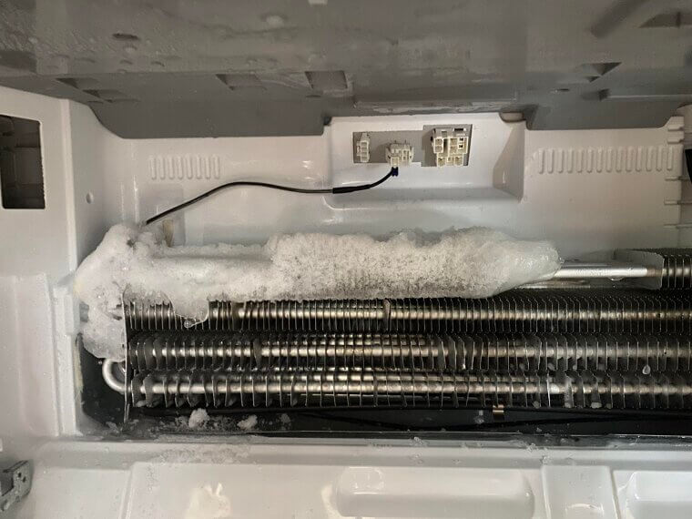 The Buzz From the Fridge