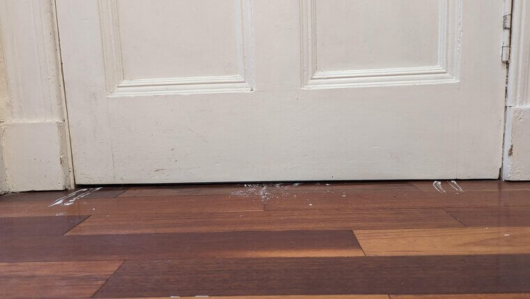 Draft That Sneaks In Everywhere