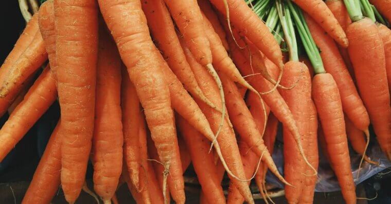Save Your Carrots