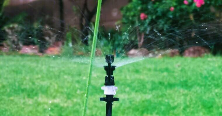 Overwatering the Lawn