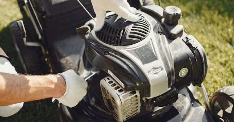 Lawn and Garden Services