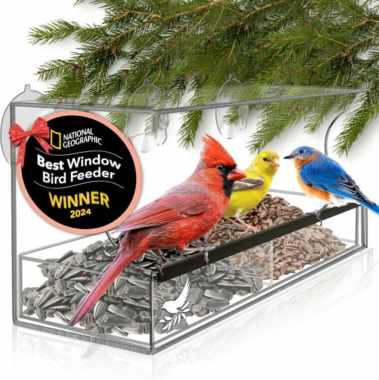 Window Bird Feeder - Perfect Gift for Bird Lovers - Don’t Miss the 9% Discount!