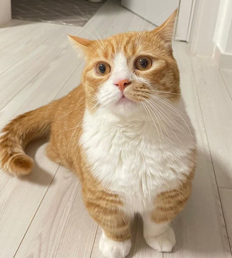 Le munchkin - 2 000 Euros