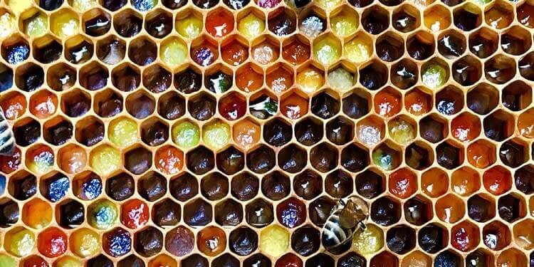 Beeswax