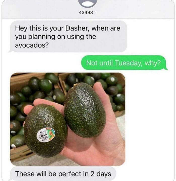 The Avocado Whisperer
