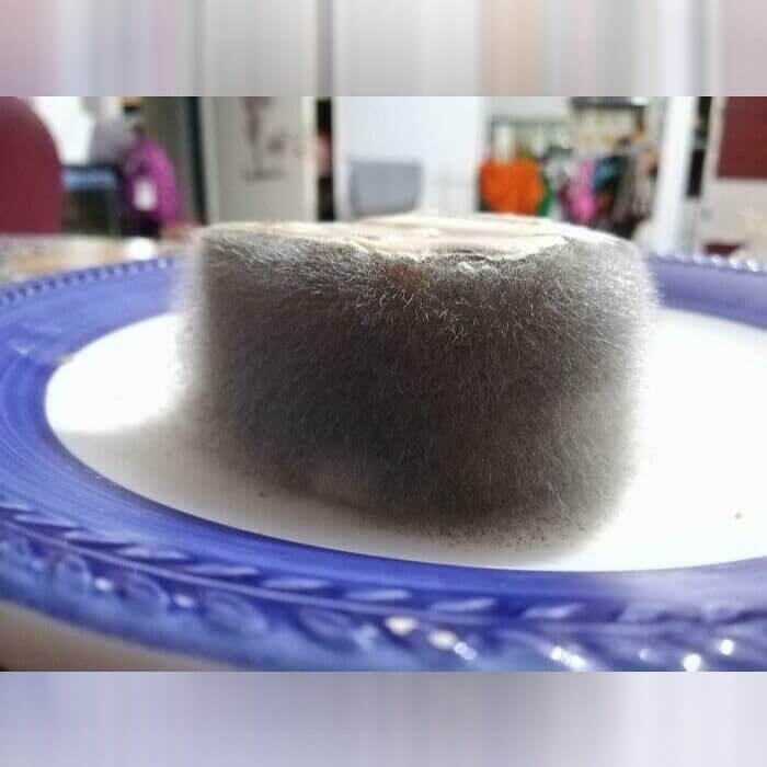 When the Moldy Spam Turns Into a Little Pet