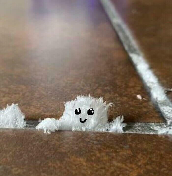 A Cute Little Monster of Mold