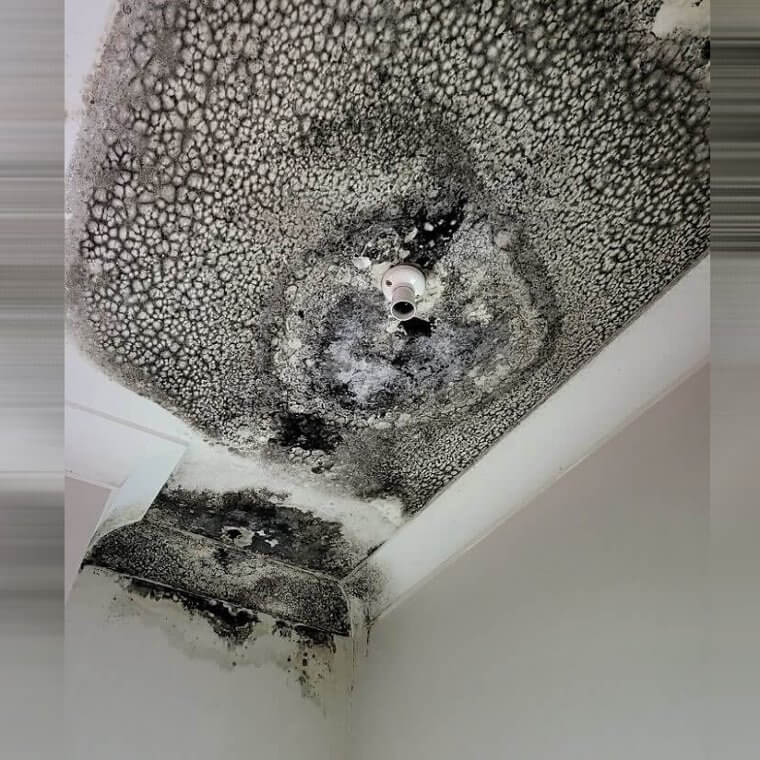 When You Ignore a Leaking Toilet for Years