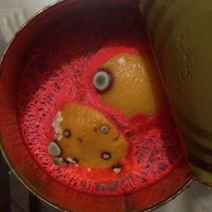 Minions Are Made From Moldy Peaches