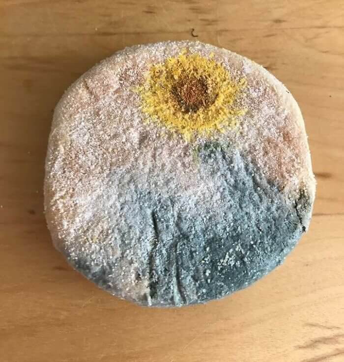 A Sunflower on a Moldy English Muffin