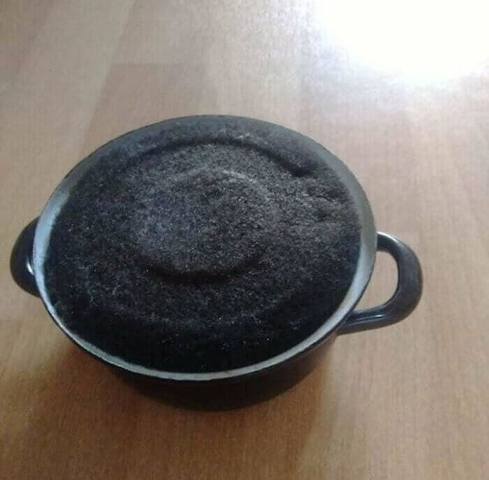 A Lid of Black Mold