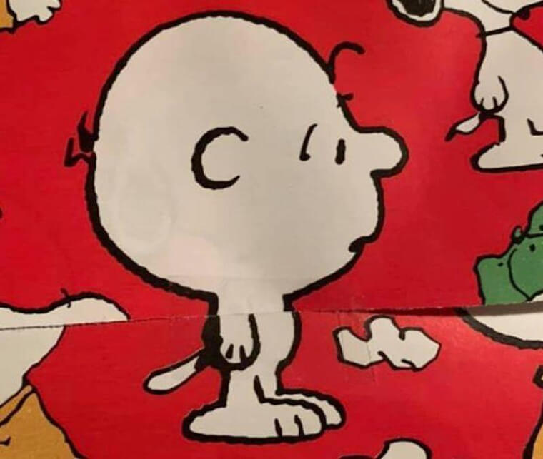 Estas Desnudo, Carlitos