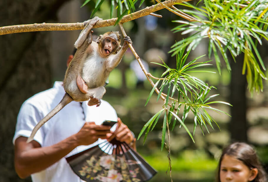 Fotos Aparentemente Normales Con Un Pequeño Detalle Que Lo Cambia Todo
