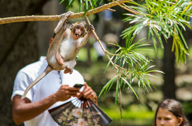 Foto Apparentemente Normali Con Un Piccolo Dettaglio Che Cambia Tutto