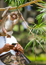 一見何の変哲もない写真が、たった１つのディテールで一変してしまう驚きの写真たち