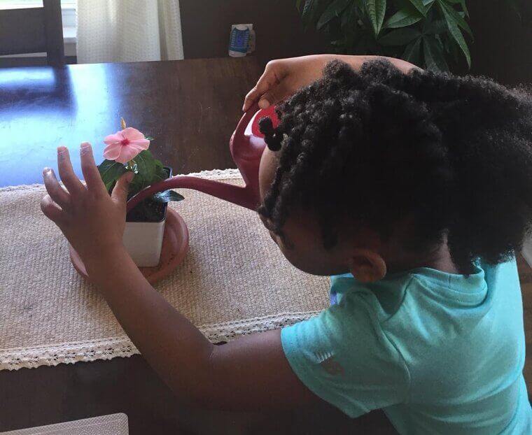 A Small Plant They Can Take Care of