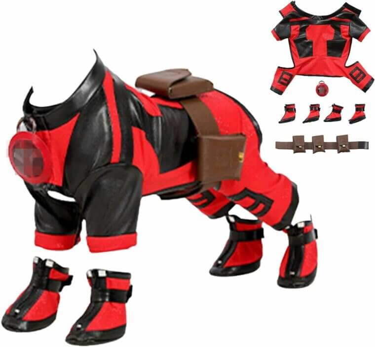 Transform Your Pet With This Dog-Pool Costume - 