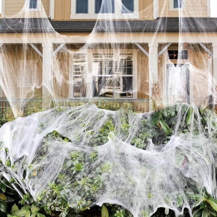 Transform Your Home with Spider Webs & Spiders - 