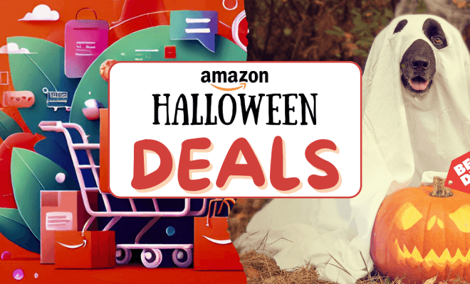 25+ Spooktacular Amazon Finds to Haunt Your Halloween and Thrill Your Guests